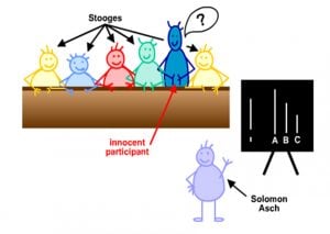 asch experiment