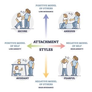 attachment working models