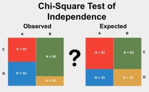 Chi Square Test of Independence