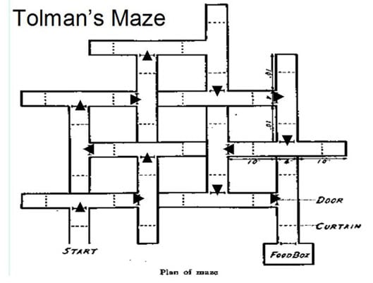 cognitive map