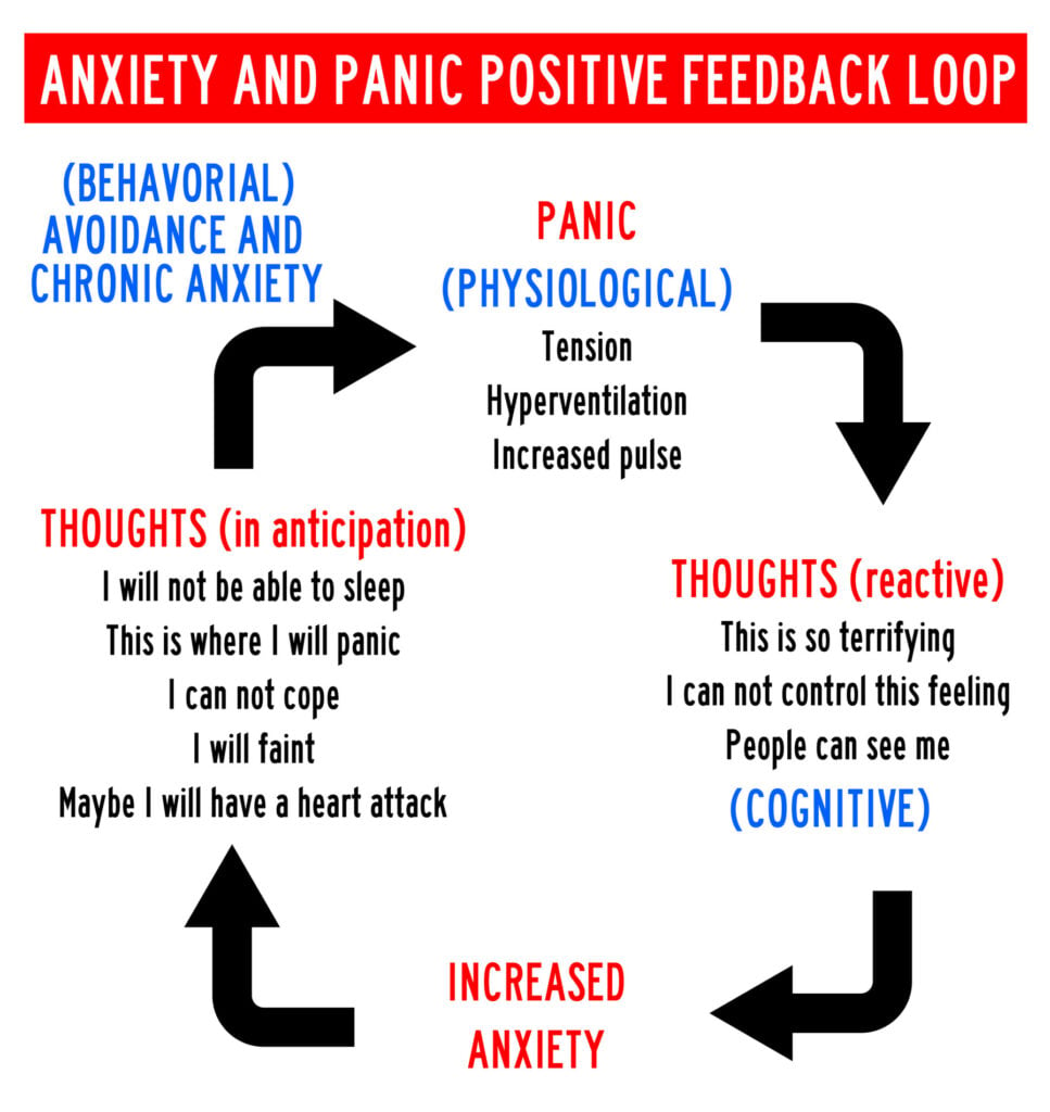cycle of panic anxiety