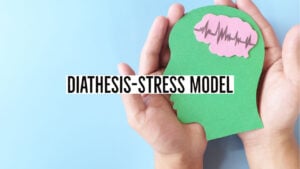 Diathesis Stress Model 1