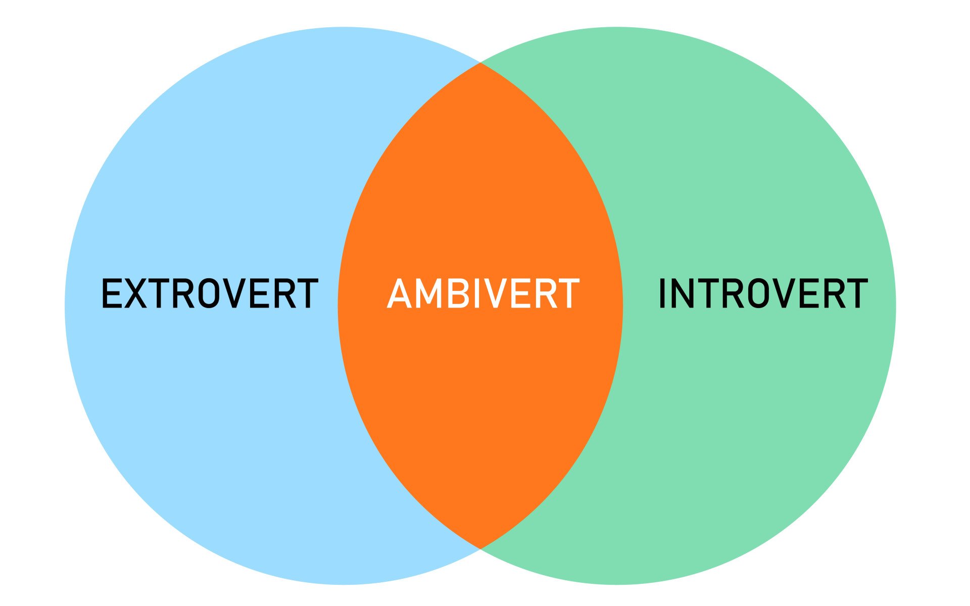 extrovert introvert ambivert intersection diagram infographics with flat style