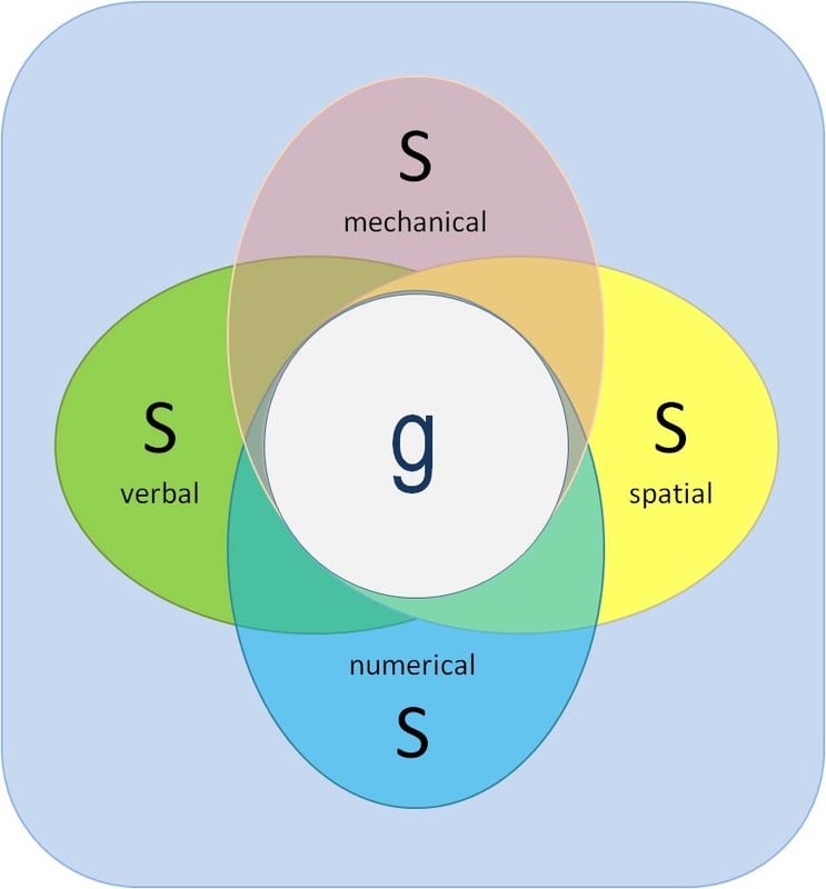 General Intelligence and Specific Abilities