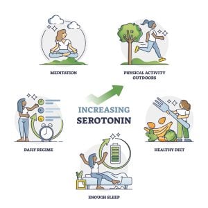 Increasing serotonin