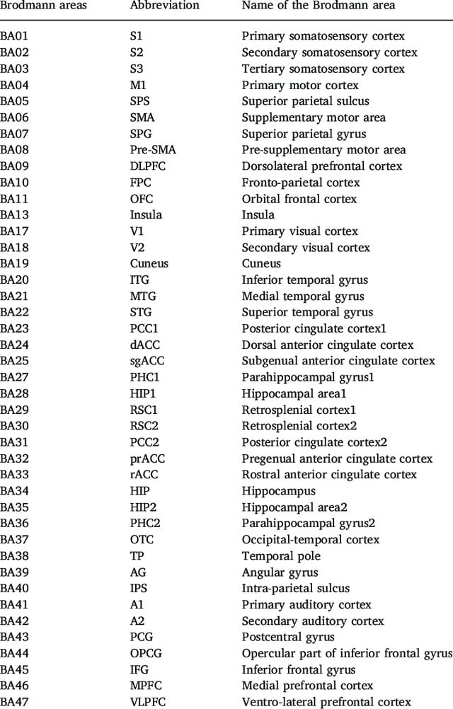 List of Brodmann Areas