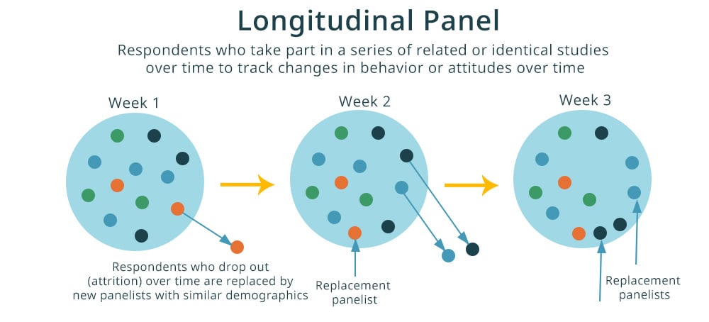 longitudinal panel research