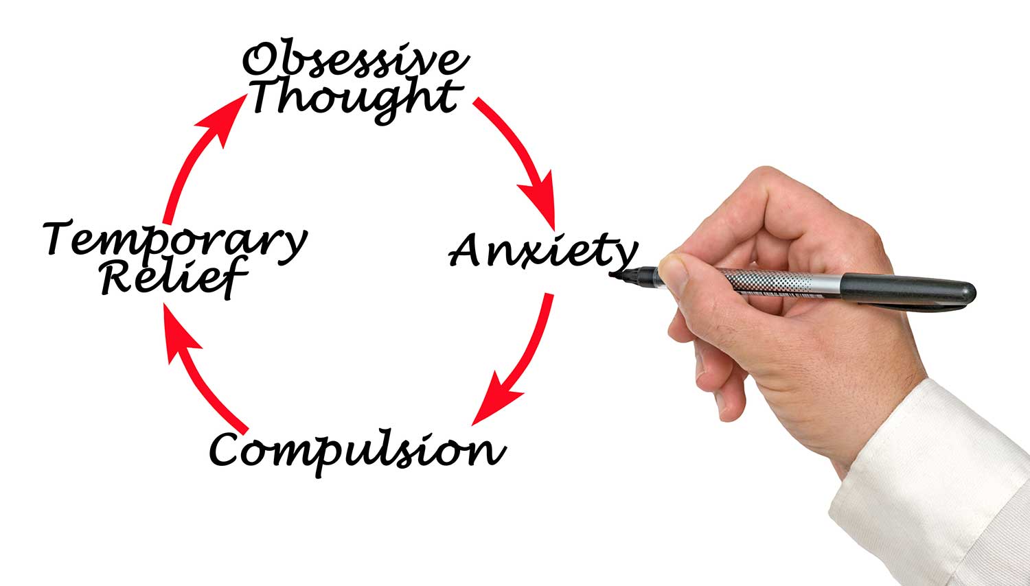 ocd anxiety cycle