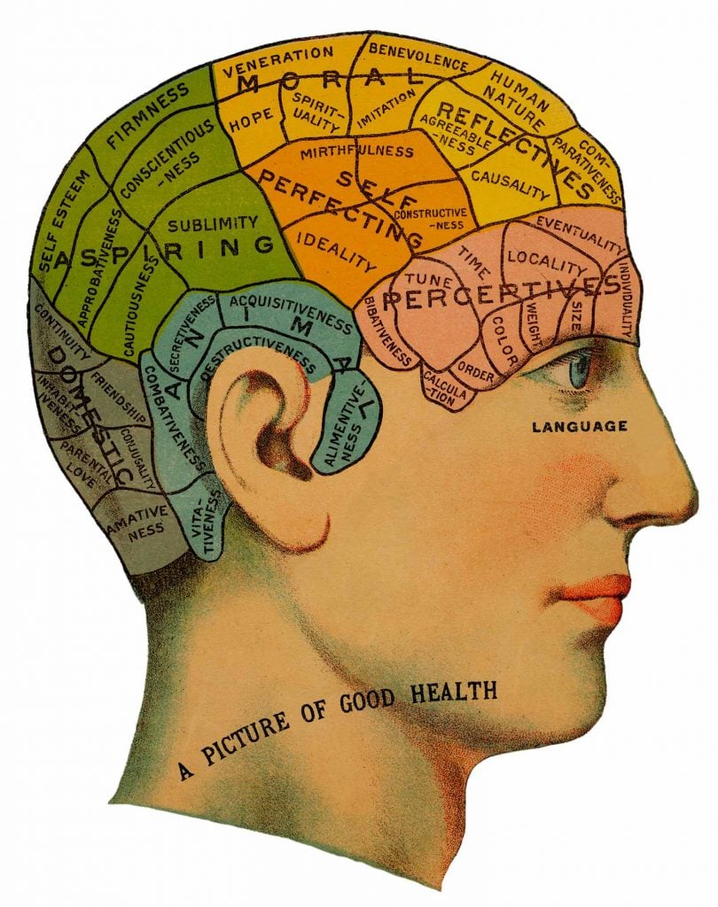 phrenology