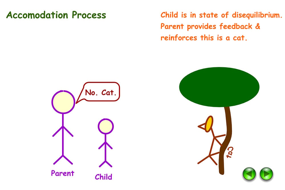 Example of accommodation in Psychology