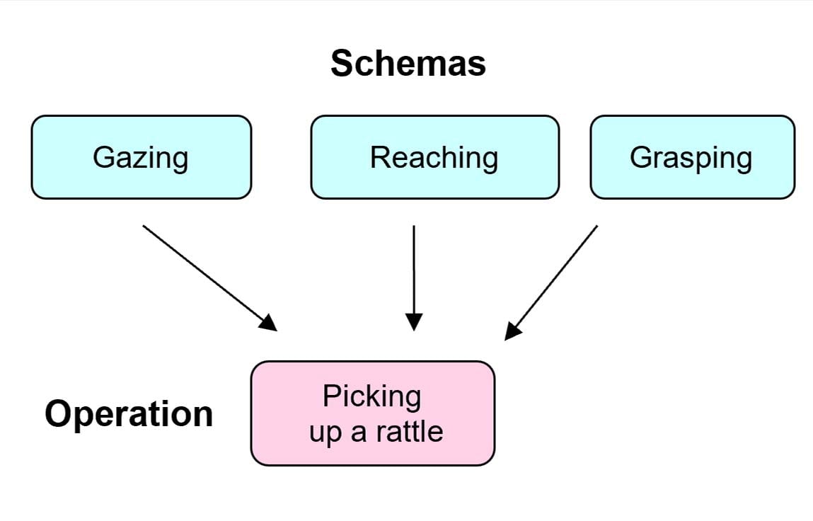 piaget operations