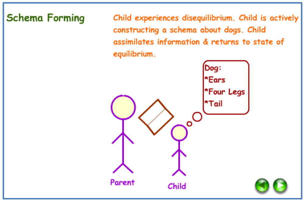 Example of Accommodation in Psychology