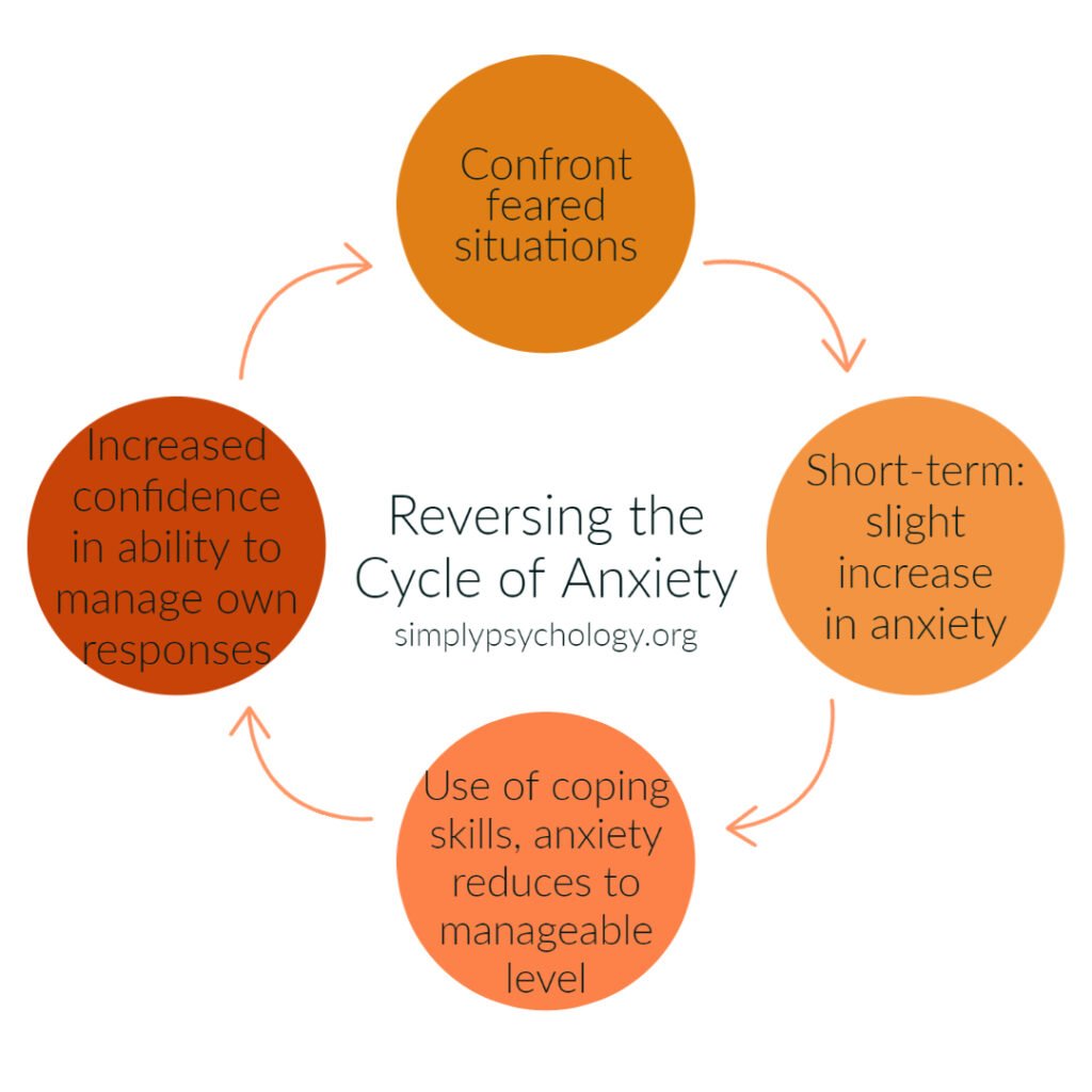 Reversing the cycle of anxiety