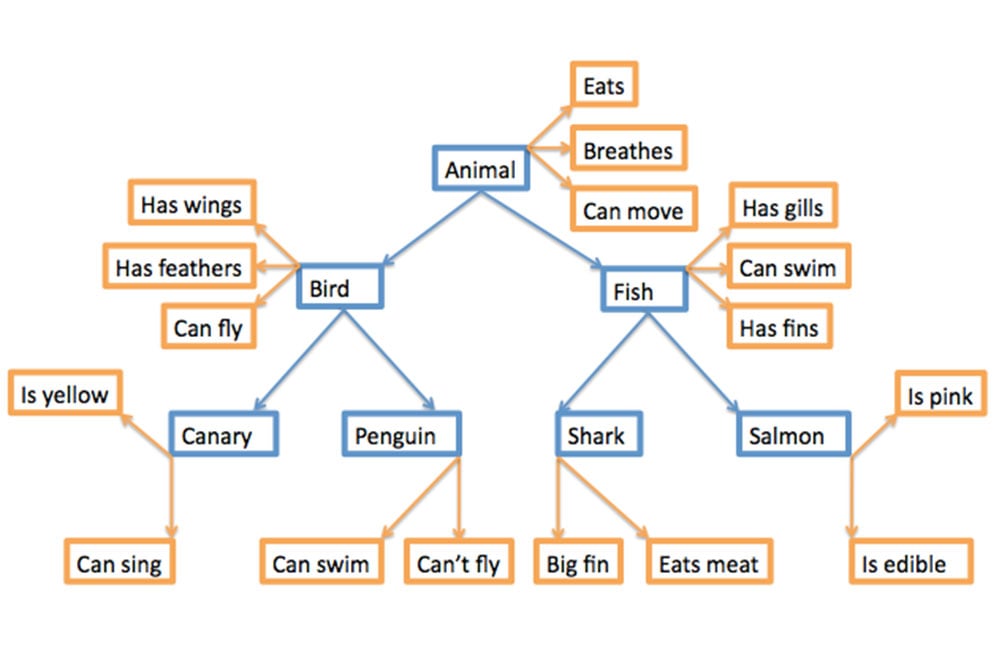 semantic memory