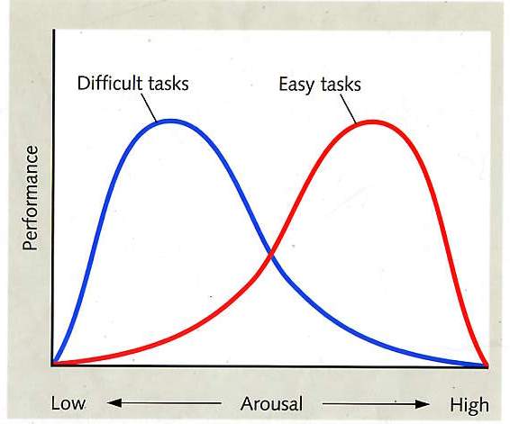 Yerkes Dodson Curve